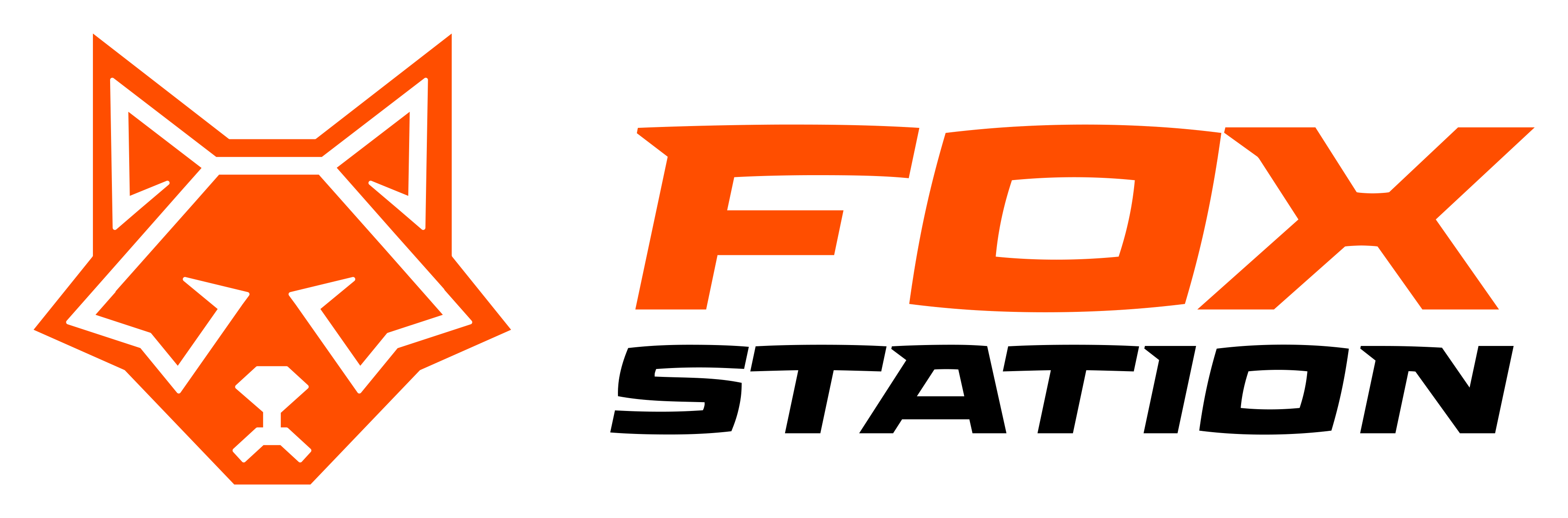 FOX STATION Logo